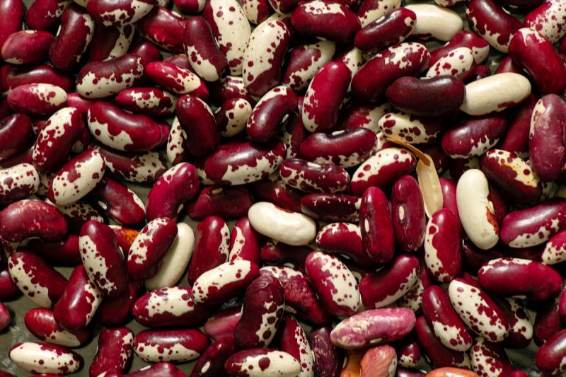 Rockwell beans are ideal for a hearty baked bean feast in any weather. ROCKWELL BEANS BY Виктория Котлярчук/ADOBE STOCK
